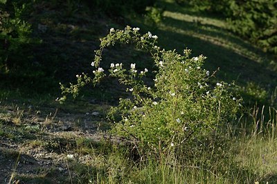BUITEN BEELD Foto: 208496