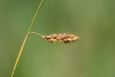 BUITEN BEELD Foto: 208551