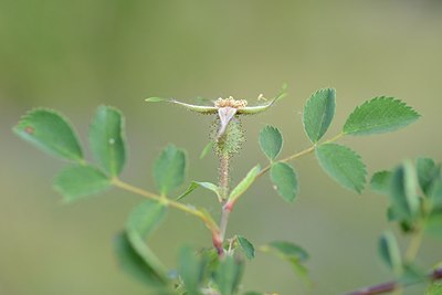 BUITEN BEELD Foto: 208579