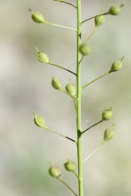 BUITEN BEELD Foto: 208606