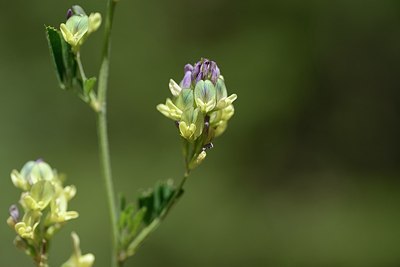 BUITEN BEELD Foto: 208609