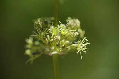 BUITEN BEELD Foto: 208610