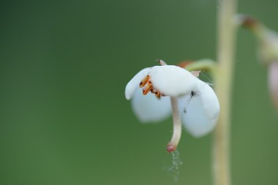 BUITEN BEELD Foto: 208635