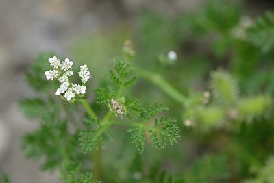 BUITEN BEELD Foto: 208756