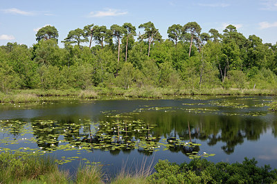 BUITEN BEELD Foto: 208787