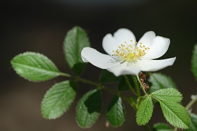 BUITEN BEELD Foto: 208829