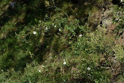 BUITEN BEELD Foto: 208833