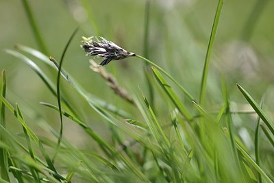 BUITEN BEELD Foto: 208873