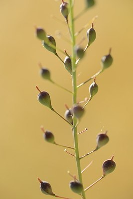 BUITEN BEELD Foto: 208909