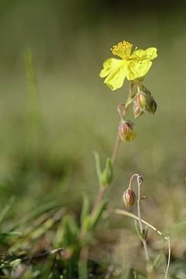 BUITEN BEELD Foto: 208952