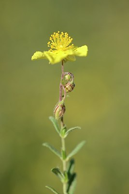 BUITEN BEELD Foto: 208953