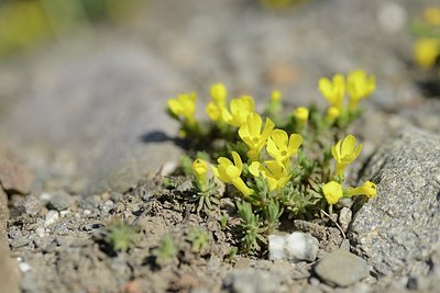 BUITEN BEELD Foto: 208989