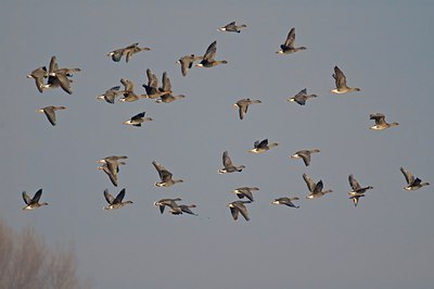 BUITEN BEELD Foto: 20205