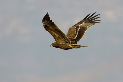 BUITEN BEELD Foto: 20239