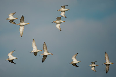 BUITEN BEELD Foto: 20268