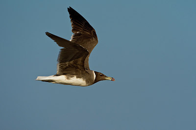 BUITEN BEELD Foto: 20287