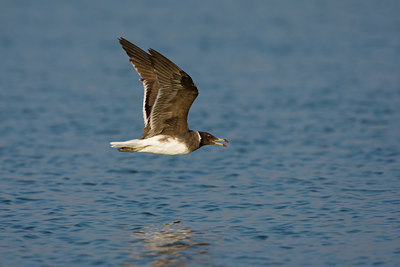 BUITEN BEELD Foto: 20288