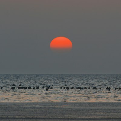 BUITEN BEELD Foto: 20298