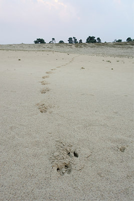 BUITEN BEELD Foto: 20340