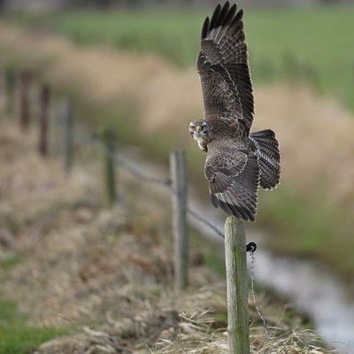 BUITEN BEELD Foto: 20408