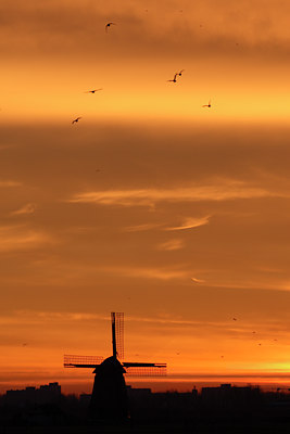 BUITEN BEELD Foto: 20420