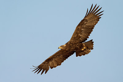 BUITEN BEELD Foto: 20440