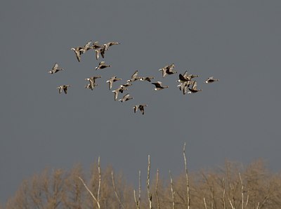 BUITEN BEELD Foto: 20567