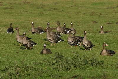 BUITEN BEELD Foto: 20573