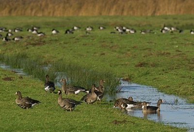 BUITEN BEELD Foto: 20576