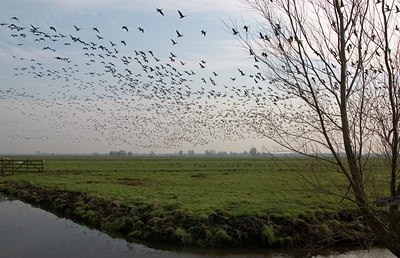 BUITEN BEELD Foto: 20582