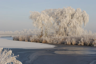 BUITEN BEELD Foto: 20617