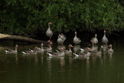 BUITEN BEELD Foto: 20653