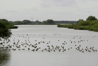 BUITEN BEELD Foto: 20659
