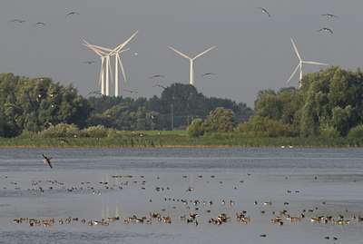 BUITEN BEELD Foto: 20660