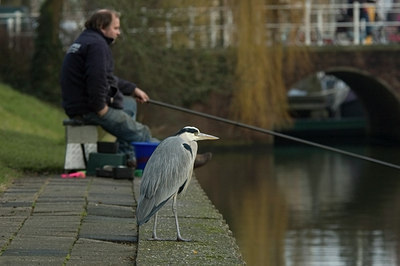 BUITEN BEELD Foto: 20675