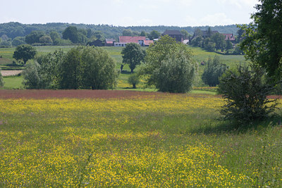 BUITEN BEELD Foto: 20761