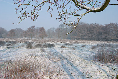 BUITEN BEELD Foto: 20772