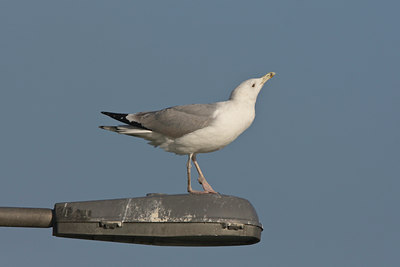 BUITEN BEELD Foto: 20790