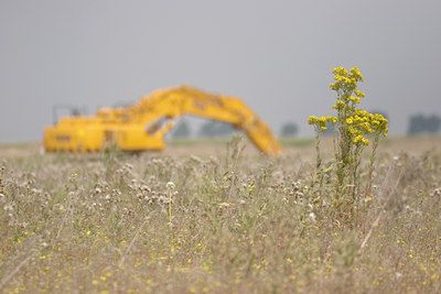 BUITEN BEELD Foto: 20820