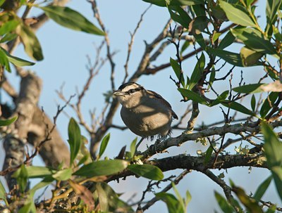 BUITEN BEELD Foto: 20957