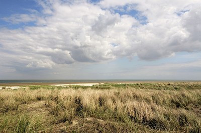 BUITEN BEELD Foto: 209027