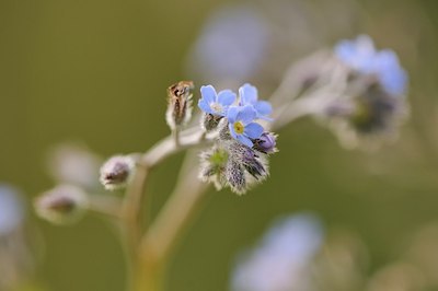 BUITEN BEELD Foto: 209030