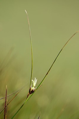 BUITEN BEELD Foto: 209053