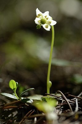 BUITEN BEELD Foto: 209060
