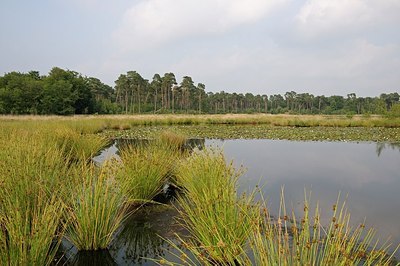 BUITEN BEELD Foto: 209092