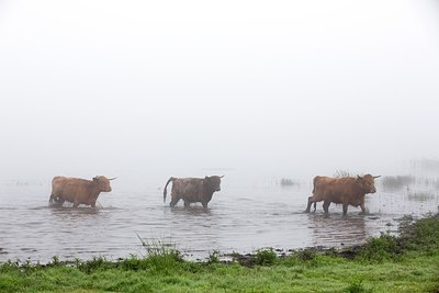 BUITEN BEELD Foto: 209110