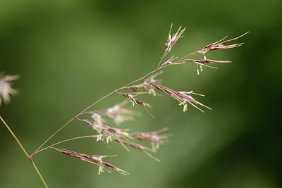 BUITEN BEELD Foto: 209170