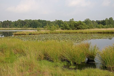 BUITEN BEELD Foto: 209180