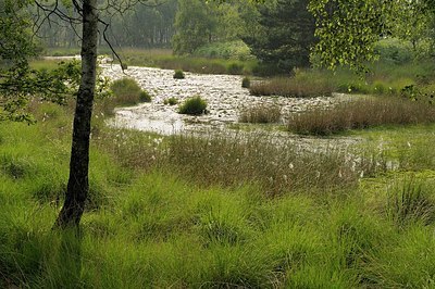 BUITEN BEELD Foto: 209181