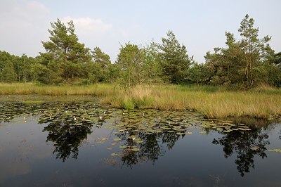 BUITEN BEELD Foto: 209182